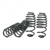 Kit Ressorts EIBACH Renault Scenic III -25mm