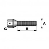 Vis Coniques 12x125mm Longueur 44 ou 50 mm Tête 19mm