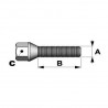 Vis Coniques 12x125mm Longueur 40 44 ou 50 mm Tête 17mm Vis Coniques 12x125mm Longueur 40 44 ou 50 mm Tête 17mm