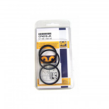 Reparatursatz Bremssattel AP Racing Ford Fiesta R5