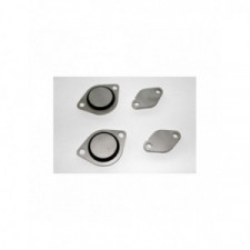 Kit sostituzione valvola EGR Forge per Land Rover motore TDV6