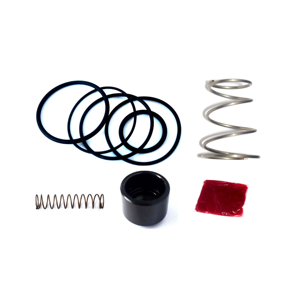 Kit réparation Turbo Valve FMDV17R Forge Motorsport - FO-FMDVSK-17R - FMDVSK-FMDV17R - 3661768841112