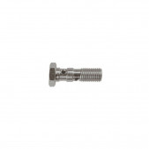 Vis banjo double Goodridge 10X100