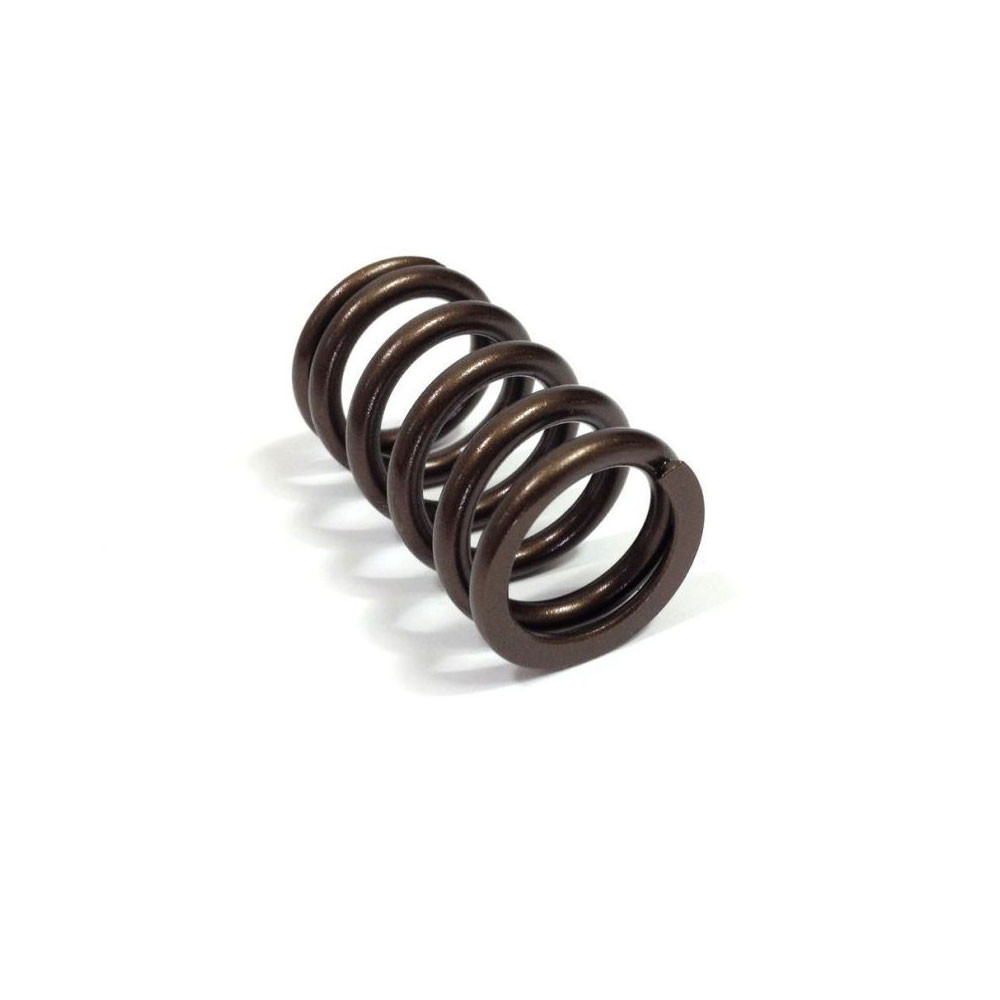 CatCams Renault R5 Turbo Ventilfeder innen (Stück) - CC-PAC-I99859 - PAC-I99859 - 3661768442630