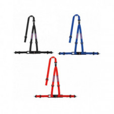 Sparco ECE R16 Martini Racing Gurte