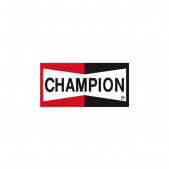 Bandiera Champion 154x80cm