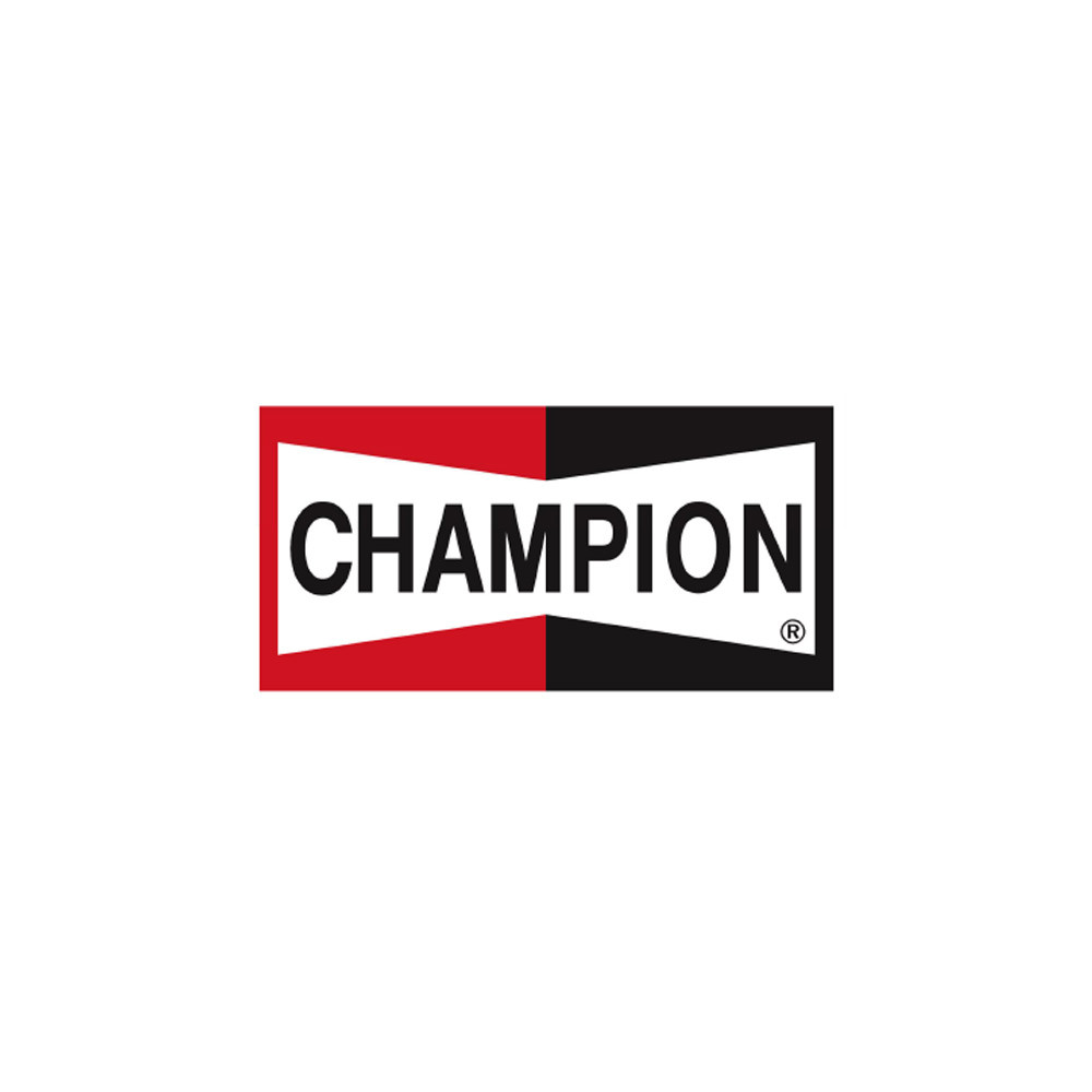 Bandiera Champion 154x80cm - F-UA20007 - UA20007 - 3661768388297