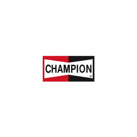 Champion 5x2.5cm sticker