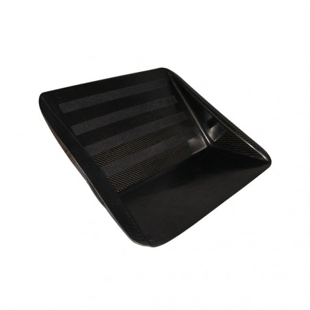 Carbon driver footrest Peugeot 206