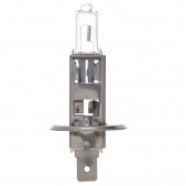 Kit de Lampes H1 12V - 2 Lampes Bleues