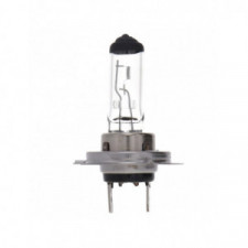 H7 12V Lamp Kit - 2 Blue Lamps