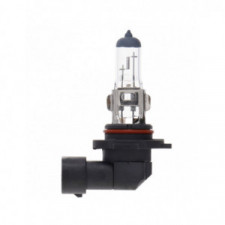 Lampada H12 12V 53W x10 pezzi