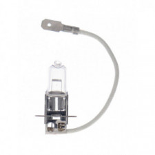 Jodlampe H3 24V 70W x10 Stück