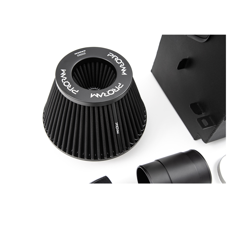 Induktionskit FORGE für Renault Megane 4 RS 280/300cv - FO-FMINDK31 - FMINDK31 - 3661768382202