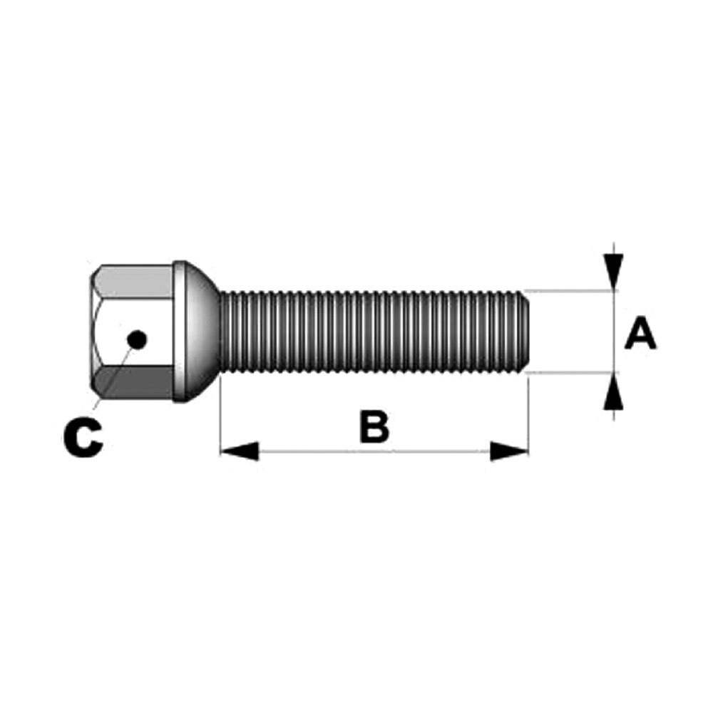Viti coniche 14x125mm lunghezza 45mm o 50mm testa 17mm - BR-BCGS17 - 3661768393680