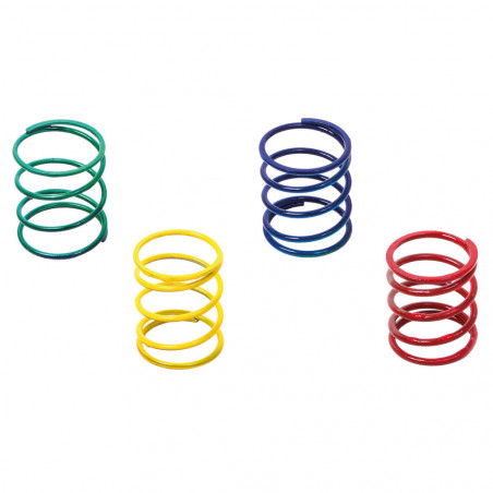 Kit 4 Ressorts Forge pour Turbo / Dump Valve Kit 4 Ressorts Forge pour Turbo / Dump Valve