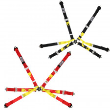 GT2i PRO 6-point FIA single seater harness