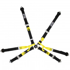 GT2i PRO 6-point FIA single seater harness