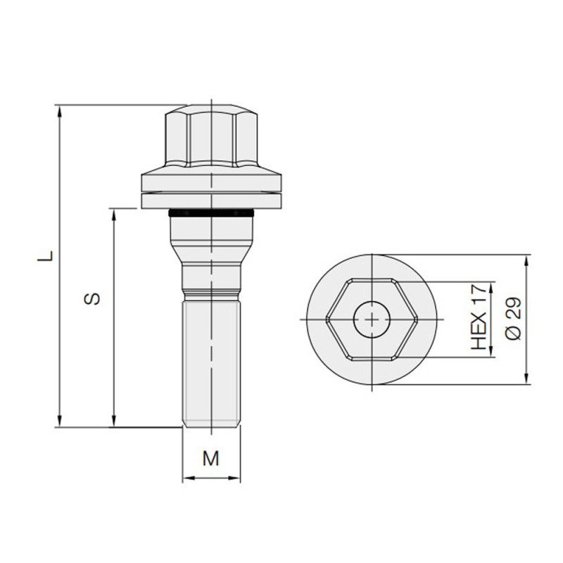 Vite GT2i Citroën Peugeot Piatta 12x125mm lunghezza 56mm - BR-PEUGS1 - 3661768418352