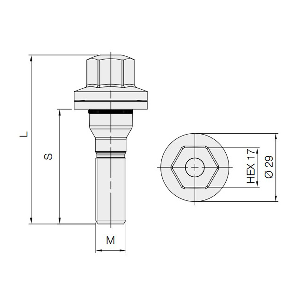 Schraube GT2i flach für Citroën / Peugeot 12x125mm Länge 56mm - BR-PEUGS1 - 3661768418352
