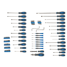 Silverine screwdriver and accessory set 100 pcs.