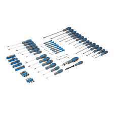 Silverine screwdriver and accessory set 100 pcs.