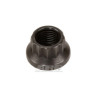 Ecrou unitaire ARP M10 x 1.00 - Black Oxyde 12 pts
