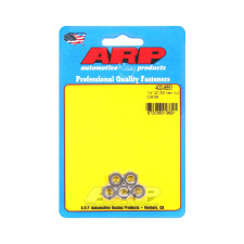 Pack ARP nuts (5) 1/4-20 - Stainless steel Hex