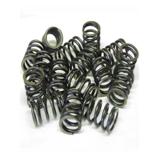 Molle della valvola singole Kent Camma per Ford 1.6/1.8/2.0 ZETEC