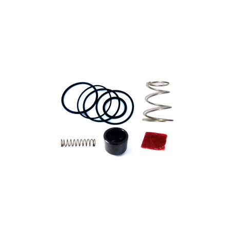 Kit di riparazione valvola turbo FORGE FMDVF500R