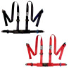 GT2i Club 02 4-point CEE 2" harness