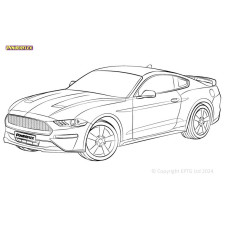 Powerflex Silentblocs Ford Mustang (2015-2023)