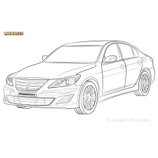 Boccole Powerflex Hyundai Genesis BH (2008 - 2012)