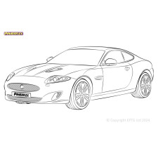 Boccole Powerflex Jaguar (Daimler) XK, XKR - X150 (2006 - 2014)