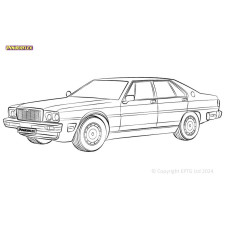 Powerflex Silentblocs Maserati Quattroporte III (1979 - 1990)