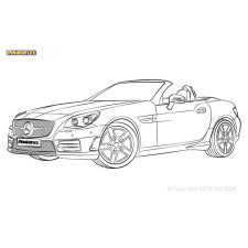 Boccole Powerflex Mercedes-Benz SLK R172 (2011-2020)