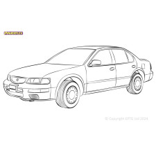 Boccole Powerflex Nissan Maxima (1995 - 2013)
