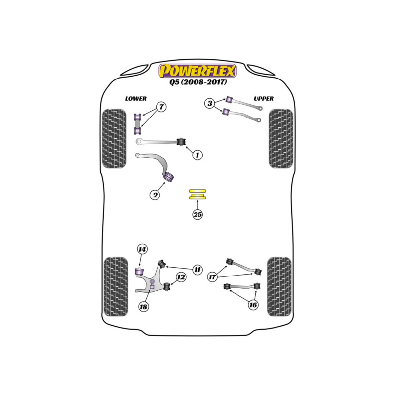Silentblocs Powerflex Audi Q5 (2008-2017) - BUN-PF-00086 - BUN-PF-00086