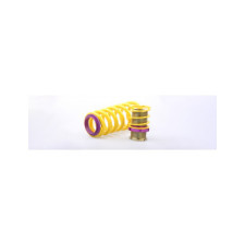 Einstellbare Federn KW 25310056