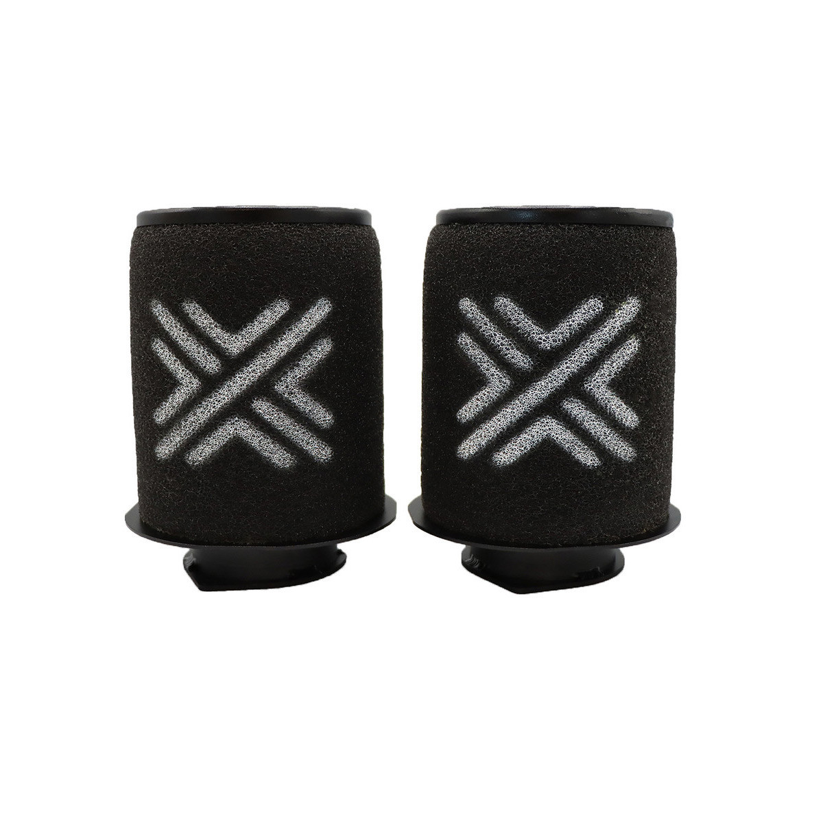 Filtre de remplacement PIPERCROSS pour Audi R8 4.2 V8 FSI Quattro, 03/07 - 07/15 (Comprend 2 filtres) - PC-PX1807 - PX1807 - 3661768601181