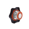 Spina radiatore MISHIMOTO 1,3 Bar 32 mm