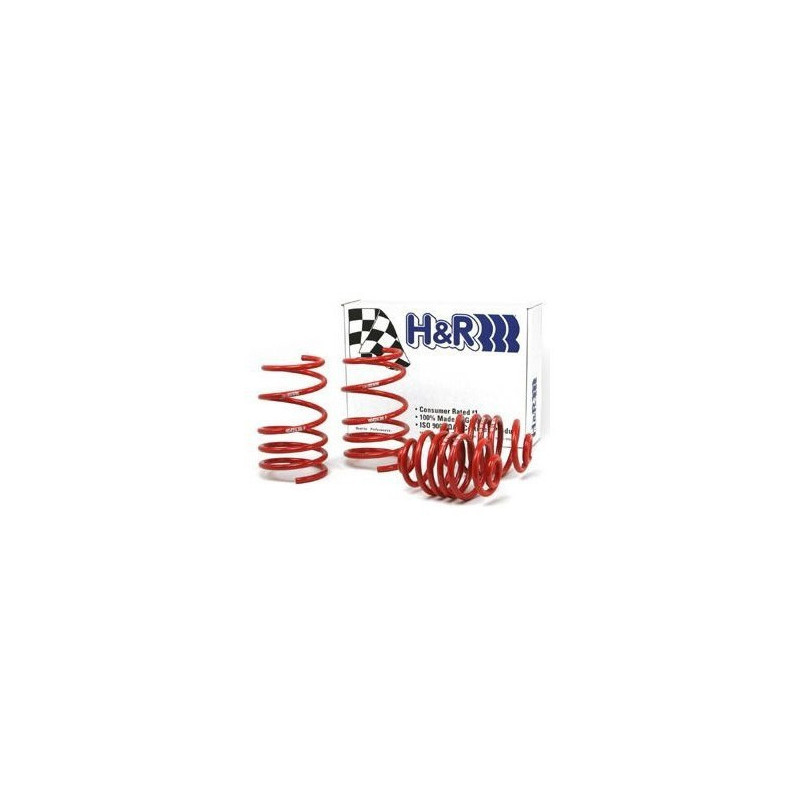 Kit Molle H&R Renault Mégane 1 Gennaio 1997-Octobre 2002 - HR-29743-1 - 29743-1 - 3661768289679