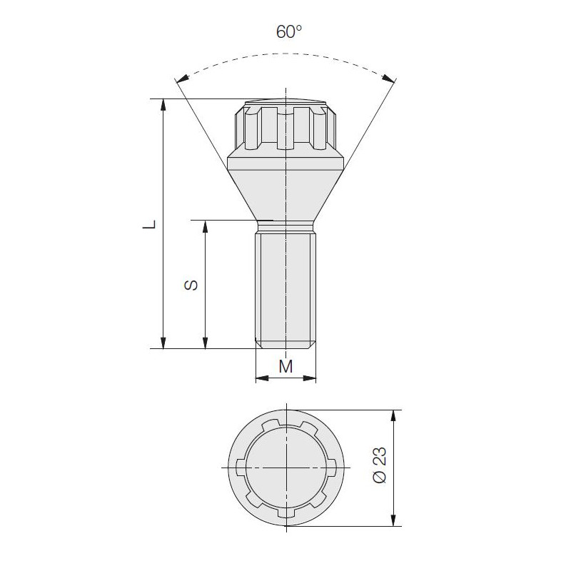60° Conical Wheel Lock Bolt Kit - DM-IGARD-BOU.12X150.40 - 3666618797427
