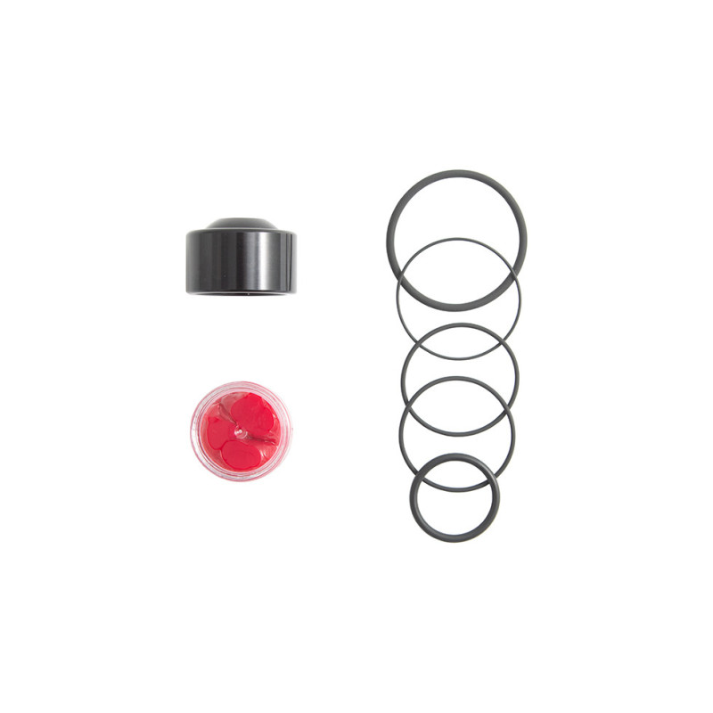 Kit réparation turbo valve Forge pour FMDV42 - FO-FMDVSK-FMDV42 - FMDVSK-FMDV42 - 3666618597386