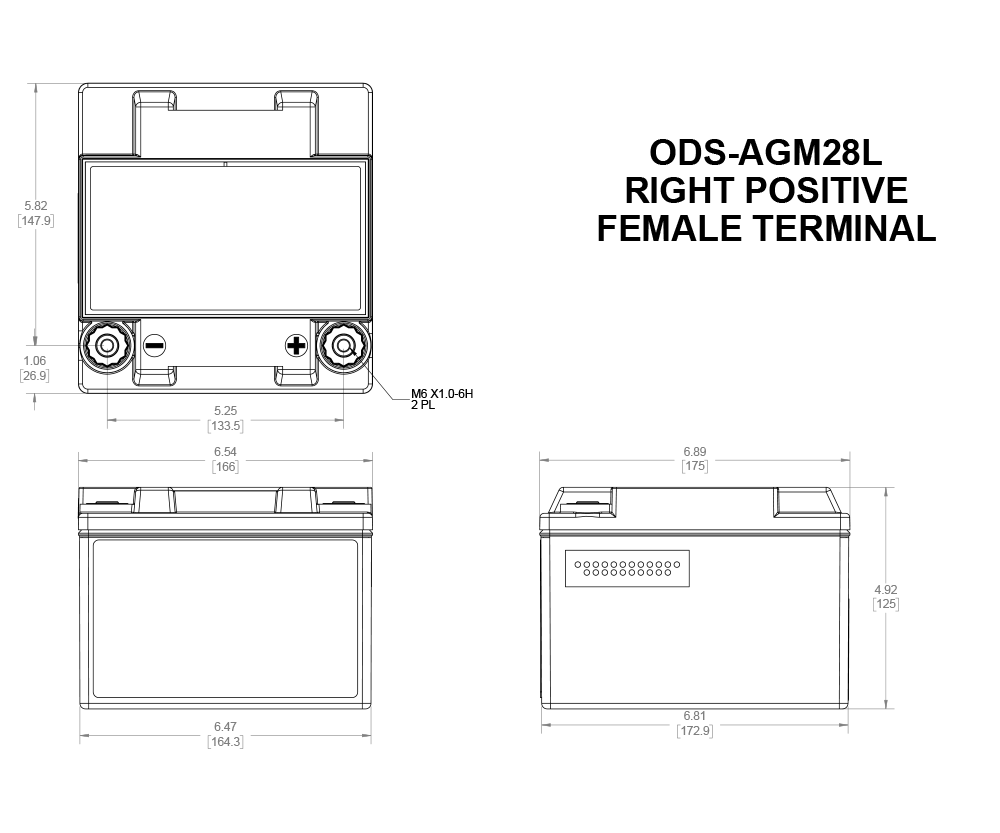 AGM-Rennbatterie Odyssey Extreme PC925 ODS-AGM28L 28 Ah 925 PHCA - ODY-EXTREME-35 - ODS-AGM28L - 3661768221402