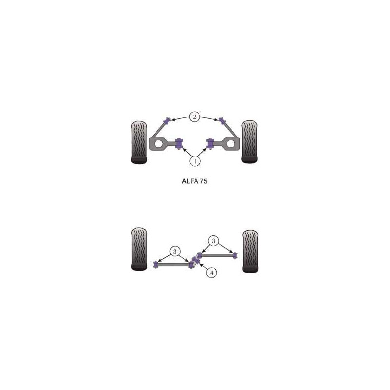 Silent-Bloc Powerflex Train Arrière Alfa Romeo GTV 6 / 75 (4 Pièces) - PF-R01210-4 - PFR1-210 - 5055676500069