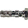 Vis Banjo Double 10X100 Inox
