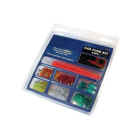Box 42 fusibili Luminosi + 1 Pinza
