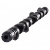 Nockenwelle CAT CAMS Peugeot 106 XSI 1.4l TU3M 306°