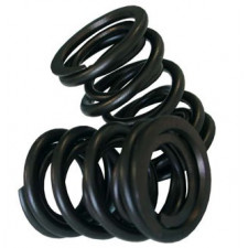 Spring Valves' Kit CAT CAMS External Volkswagen (X16)